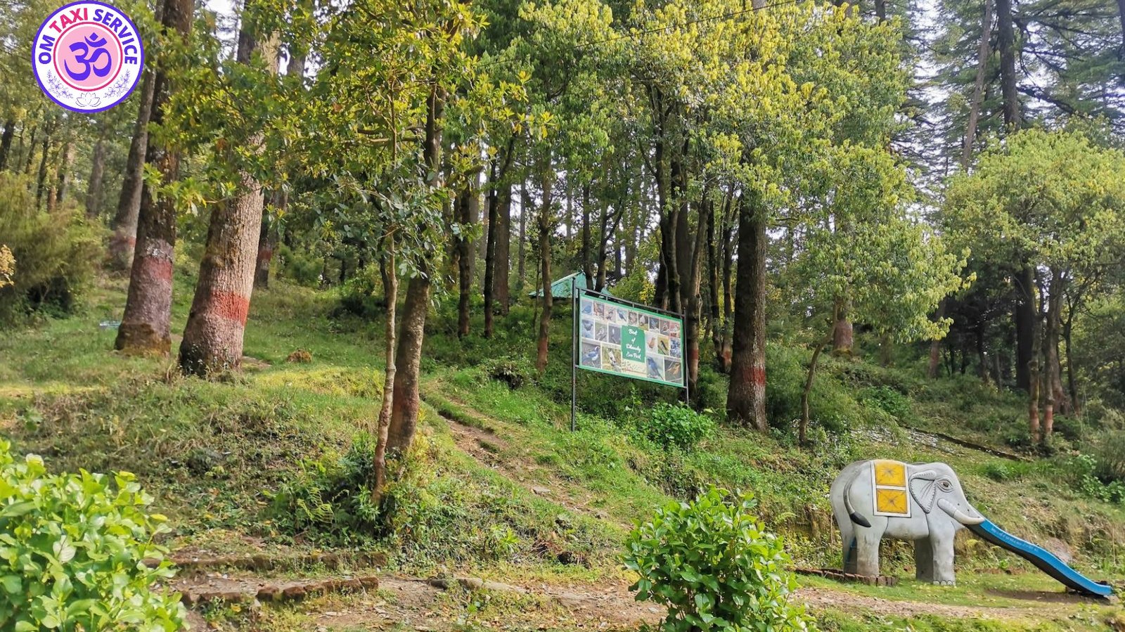 Top 10 Weekend Getaways from Dehradun by Road: Distance, Best Routes & Cab Tips