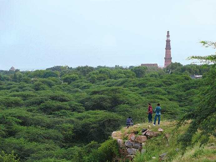 Sanjay Van