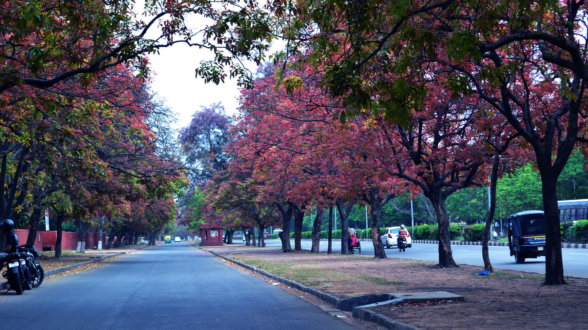 Explore Chandigarh with OmTaxiService