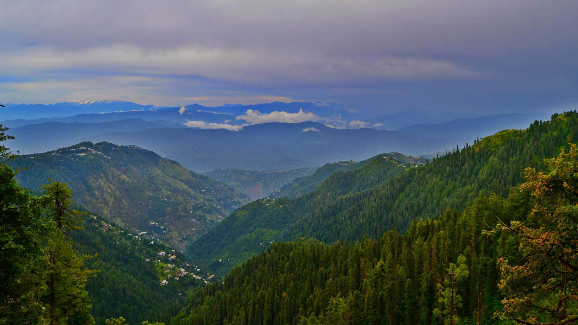 Ranikhet to Kausani Taxi Service