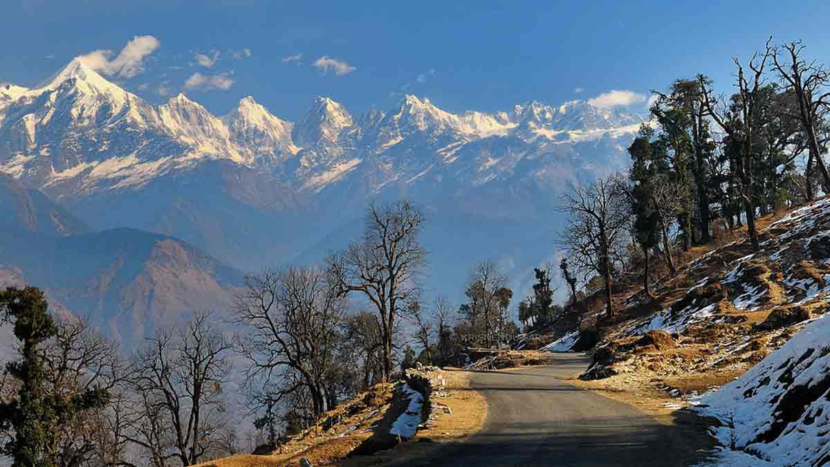 Taxi Service in Tanakpur